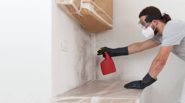 Professional Mold Remediation technician working in Onekama, MI